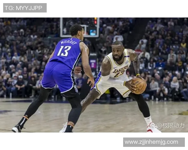 精彩对决NBA国王队与湖人队激战回顾视频尽在此处